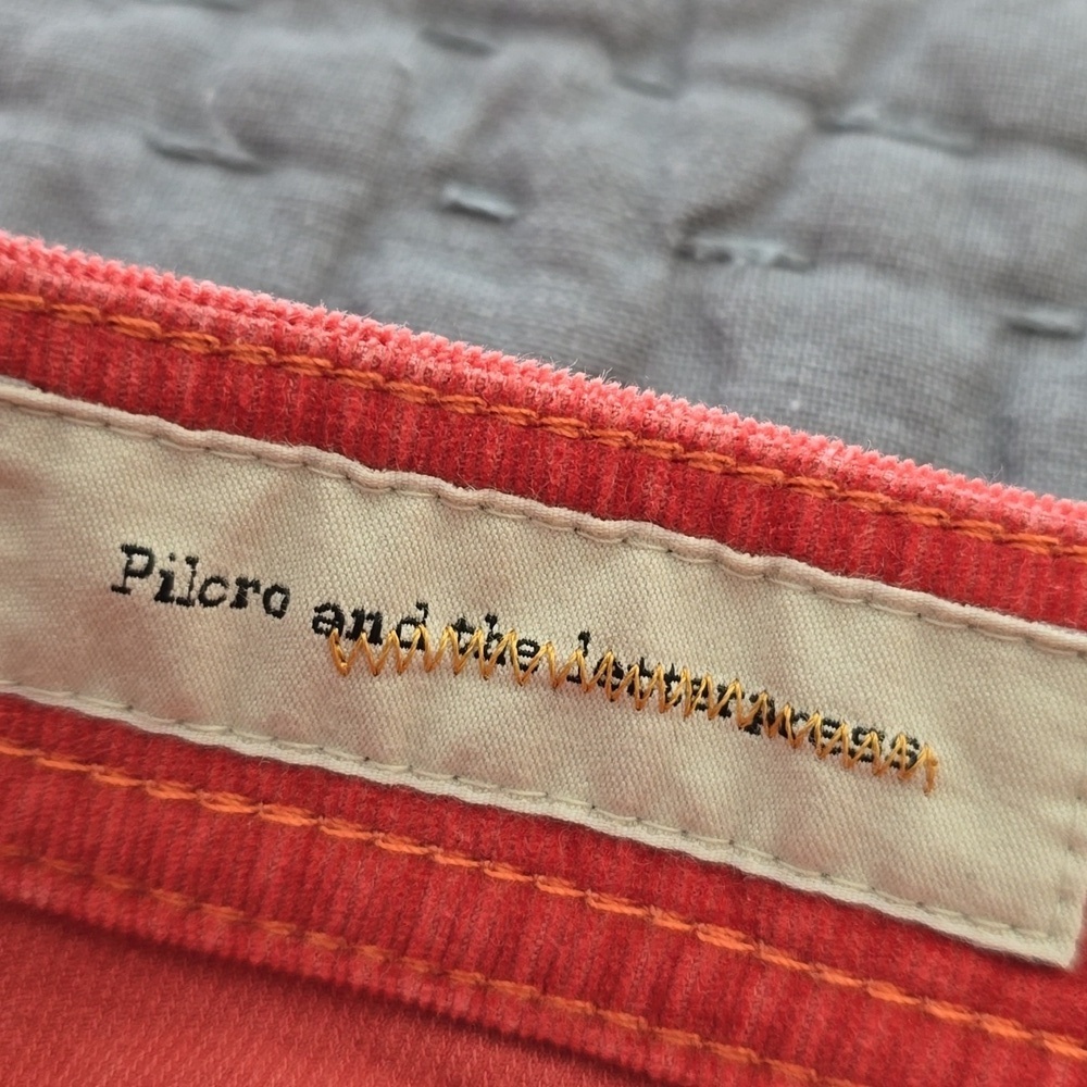 Pilcro And The Letterpress Rust Serif Skinny Corduroy Pants - Picture 5 of 15